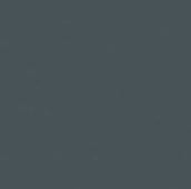 Linoleum | 4155 Pewter